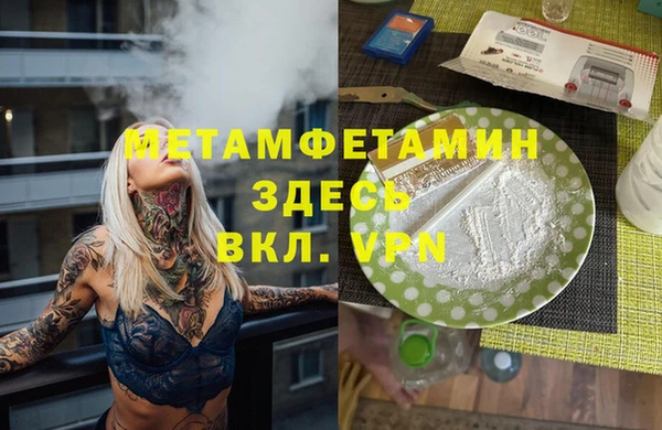 шишки Верея