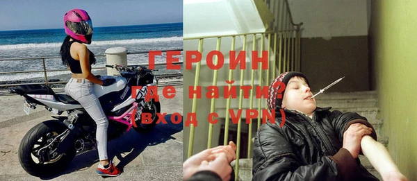 шишки Верея