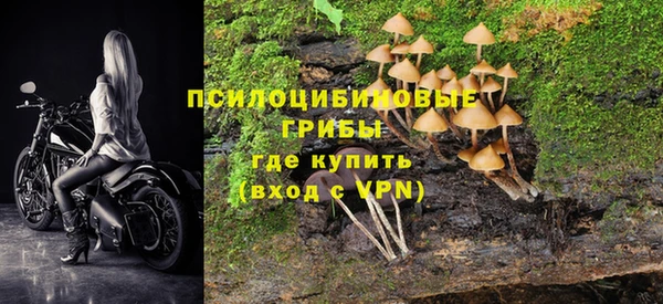 шишки Верея